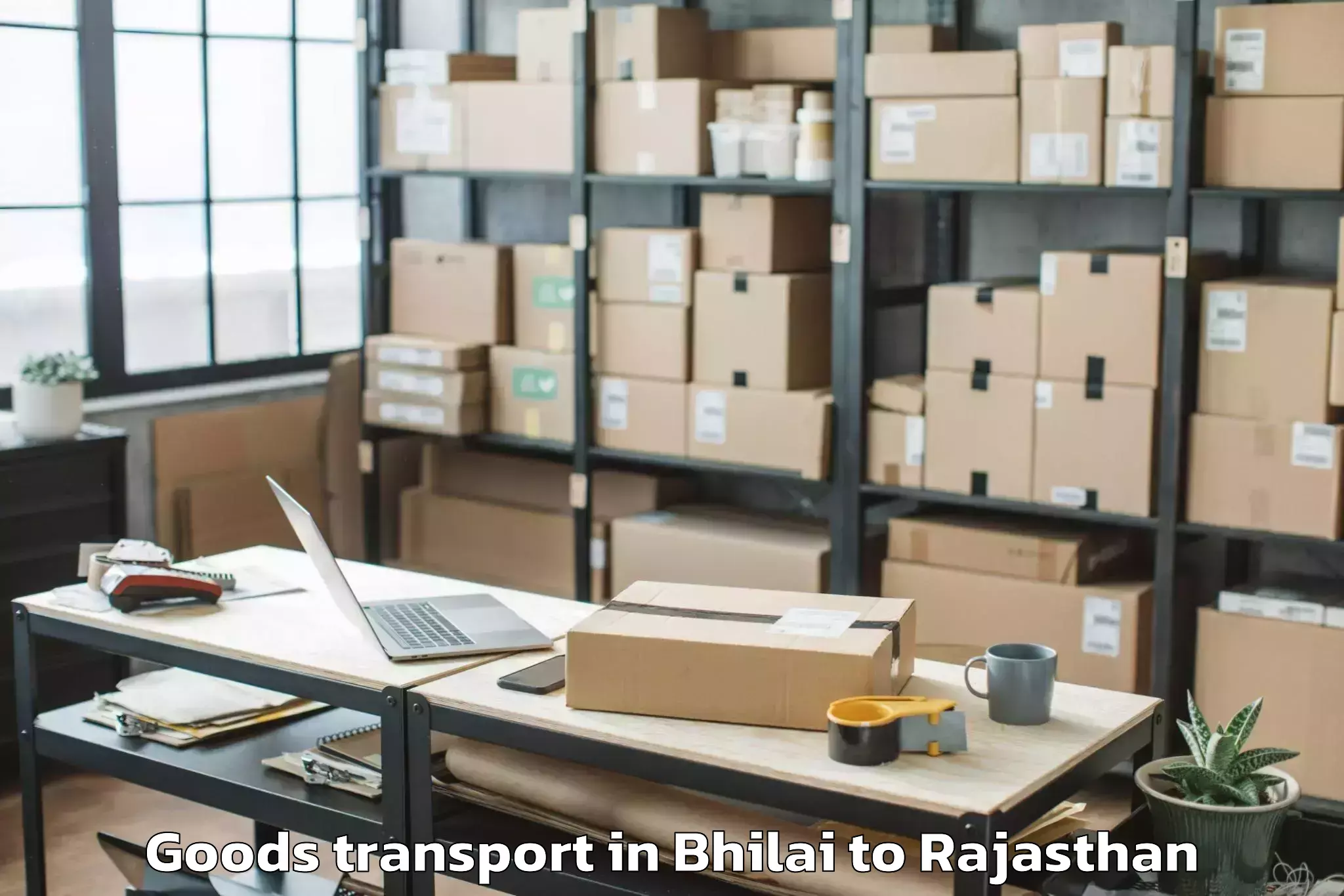 Efficient Bhilai to Sri Vijaynagar Goods Transport